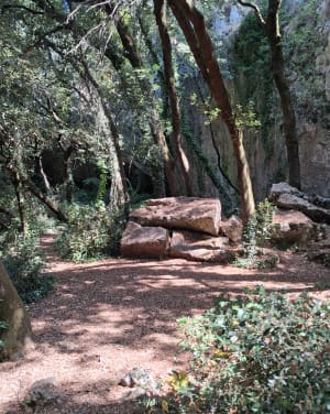 Balade en forêt à l'Aven d'Orgnac - Florence - 7