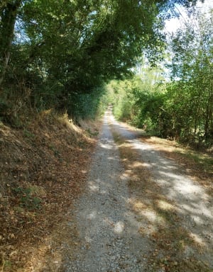 Rando en campagne autour de l'Égray - Surin - 3