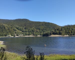 Lac de monampteuil - philippe - 7