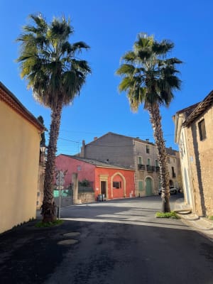 Boucle autour du village de Nézignan-l'Evêque - Nézignan-l'Évêque - 12