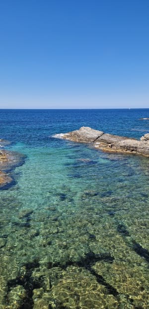 Du Brusc au Grand Gaou et la Pointe Salva - Six-Fours-les-Plages - 10