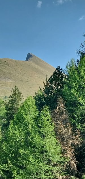 Chemin des Pères et sentier pittoresque depuis le Col de Parquetout - Lucie - 13