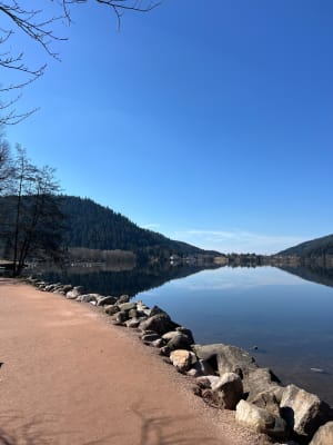 Le tour du lac de Gérardmer - Gérardmer - 32