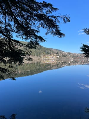 Le tour du lac de Gérardmer - Gérardmer - 33