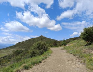 Rando Força Réal depuis Corneilla de la rivière - Corneilla-la-Rivière - 10
