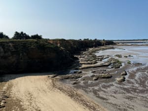 Pont Mahé par la marche aux bœufs - Carole - 6