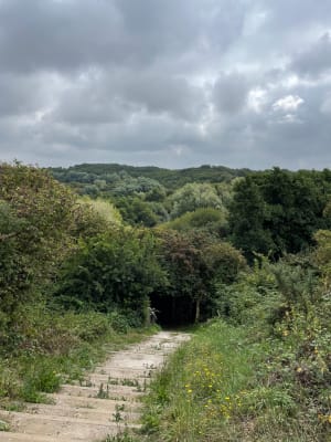 Belle Balade en famille sur le sentier du Fartz de Wissant - Wissant - 13