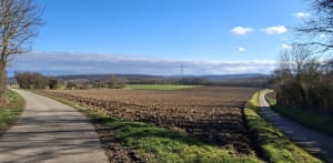 Promenade sur les hauteurs de Morschwiller le bas. - Marie - 7