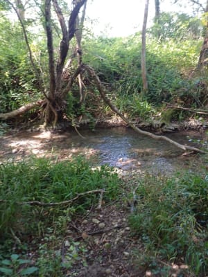 Montboucher-sur-Jabron et envol dans une nature complice - Blandine - 3
