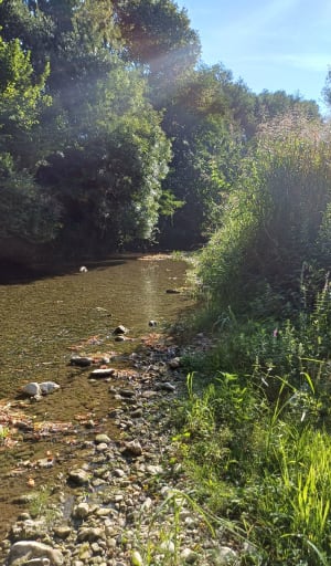 Montboucher-sur-Jabron et envol dans une nature complice - Blandine - 5