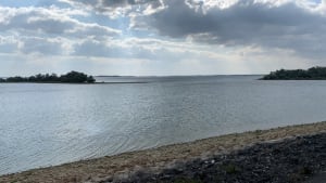 Lac du Der Chantecoq - Nicolas - 3
