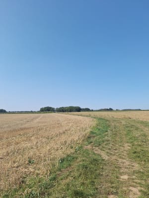 De Marolles-en-Hurepoix à St-Vrain par les champs - Marolles-en-Hurepoix - 4