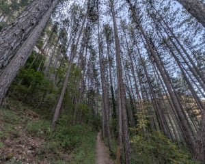 Wandelingen naar de Gorges de Trévans en de Saint-André-kapel - Estoublon - 5