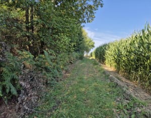 Livet sur Authou - Moulin et lavoirs - Livet-sur-Authou - 6