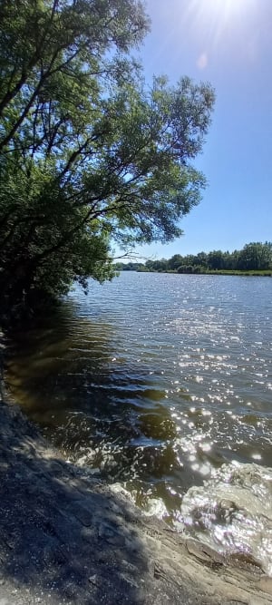Le Pommain et le tour du lac de Bout de Bois - LIONNEL - 8