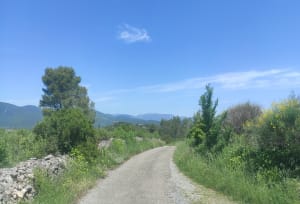 Au cœur du vignoble à Cébazan et pierres préhistoriques - Cébazan - 2