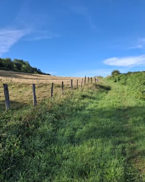 Balanod - l’Aubepin - Saint-Amour - 5