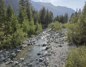Les cascades de Rosuel - Peisey-Nancroix - 11