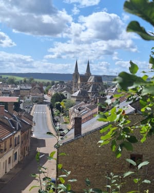 Meuse à Mouzon et Ardennes ardentes - Mouzon - 5