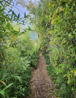 Ontspannende wandeling in Calas en rond het Réaltor-bekken - Le Clos des Prieurs, Calas - 17