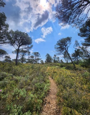 Ontspannende wandeling in Calas en rond het Réaltor-bekken - Le Clos des Prieurs, Calas - 21