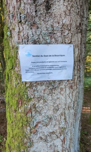 Wandeling naar de Saut de la Bourrique - Gérardmer - 50
