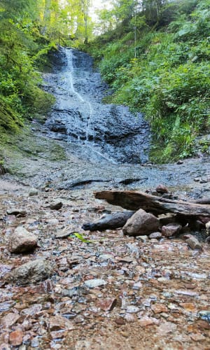 Wandeling naar de Saut de la Bourrique - Gérardmer - 51