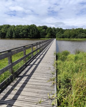 Autour du lac de Saint-Agnan - Saint-Agnan - 11