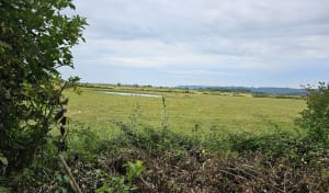 Sluizen en natuurreservaat in Tancarville, getuigen van de geschiedenis - Tancarville - 41