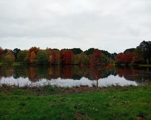 Trois cercles aux Gayeulles - Rennes - 10