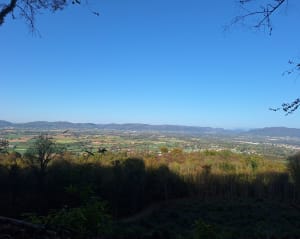 La Chartreuse de Parménie - Beaucroissant - 3
