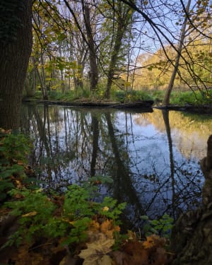 Migne auxances au bord de l'eau - Migné-Auxances - 5
