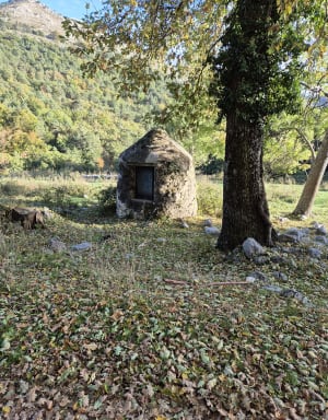 Saint-Vallier-de-Thiey et zénitude en forêt de Nans - Saint-Vallier-de-Thiey - 16