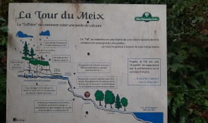 Balade près du Pont de Pyle - La Tour-du-Meix - 46