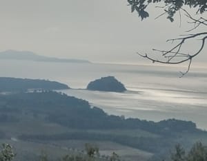 Autour du barrage de Trapan - Bormes-les-Mimosas - 14
