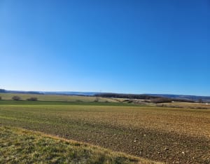 Le Marais de  Sans Fond - Fénay - 9