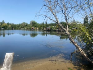 Entre terre et eau au Château de Saussay - Ballancourt-sur-Essonne - 12