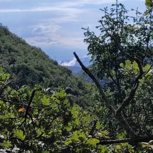 Rando au dessue de Saint-Vincent-de-Barrès - NICOLAS - 2