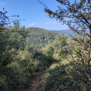 Rando au dessue de Saint-Vincent-de-Barrès - NICOLAS - 3