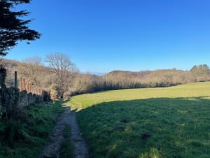 Promenade dans la vallée du Lude - Carolles - 42