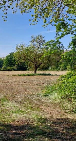 Autour de La Coutardièrede, départ de la Nouzille - Loire-Authion - 2