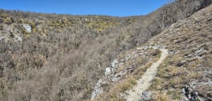 Boucle du faucon pèlerin - Messigny-et-Vantoux - 10