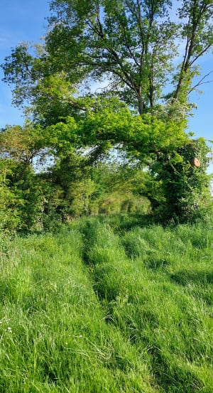 Autour de La Coutardièrede, départ de la Nouzille - Loire-Authion - 3