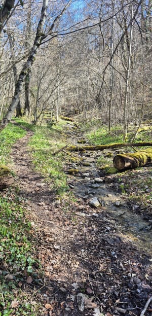 Boucle du faucon pèlerin - Messigny-et-Vantoux - 11