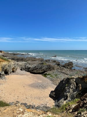 Pointe du Payré-pad - Jard-sur-Mer - 133