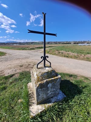 Balade sur Saint Clair du Rhône et Saint Prim. - Christiane - 8