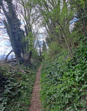Balade sur Saint Clair du Rhône et Saint Prim. - Christiane - 12