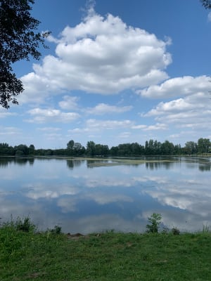 Boucle de la Cousinerie à la base des Bonniers - Villeneuve-d'Ascq - 6