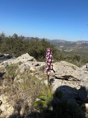 Envolée vers le Mont du Marseillais - Peypin - 2