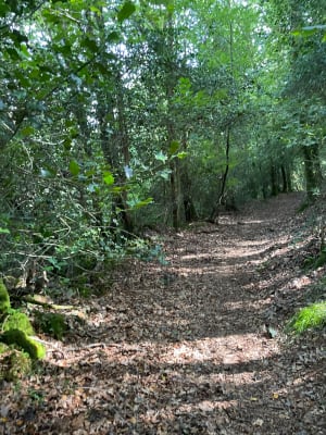 Balade de Ty Guen par la Pennélé - Saint-Martin-des-Champs - 4